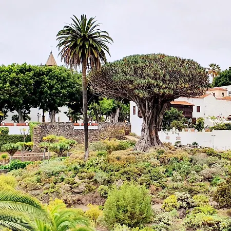 Atico Vistas Mar Cristianos Apartamento Arona (Tenerife)